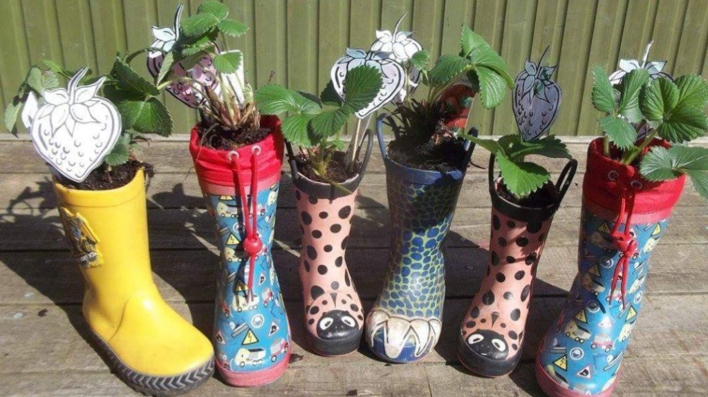 Review: Little Acorns…Helping My Boys To&nbsp;Grow