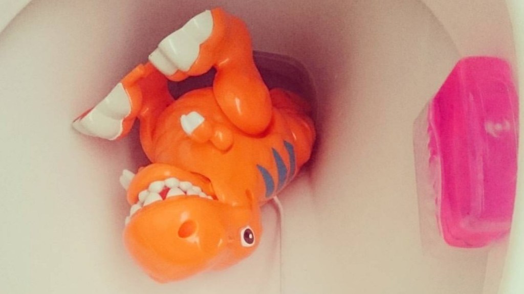 5 Things I Swore I’d Never&nbsp;Do…