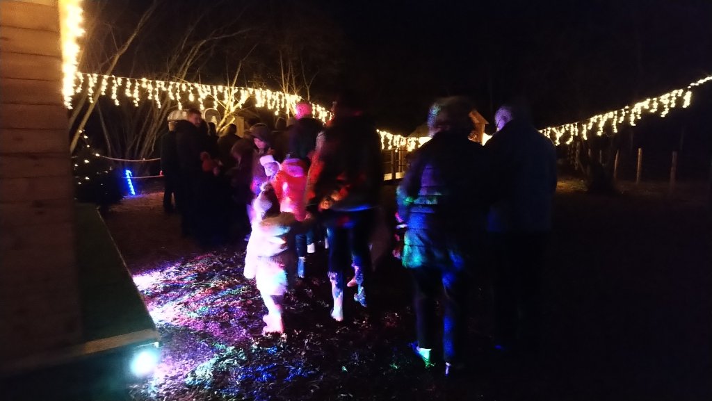 Five Go Festive! Christmas at Amerton&nbsp;Farm