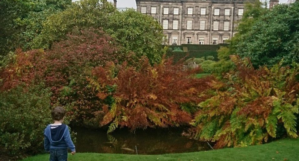 Five Go National&nbsp;Trusting!