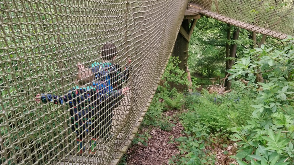 Review: Treetop Trekking at RSPB Coombes&nbsp;Valley
