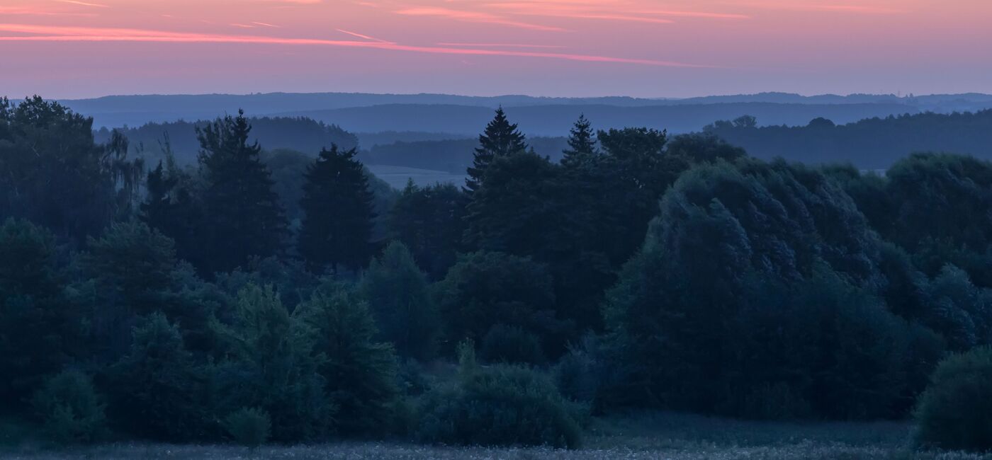 RSPB Coombes Valley Treetop Walk and Nature Trails